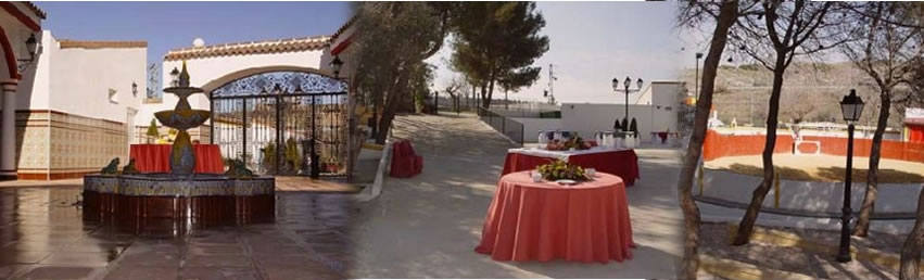 Finca en Madrid, Venta del Toro